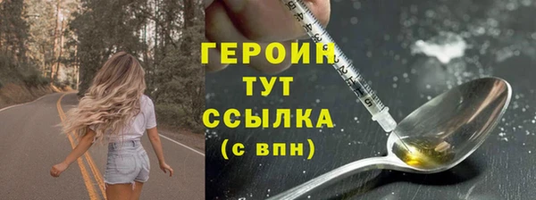 гидра Ессентукская
