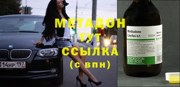 гидра Ессентукская