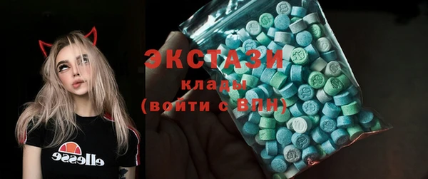 гидра Ессентукская