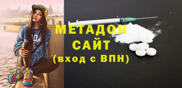 гидра Ессентукская