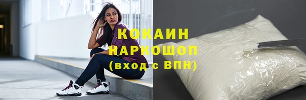 гидра Ессентукская