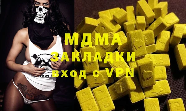 гидра Ессентукская