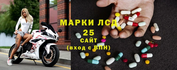 гидра Ессентукская