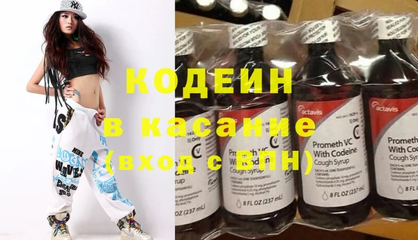гидра Ессентукская