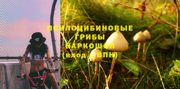 гидра Ессентукская