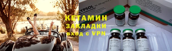 гидра Ессентукская