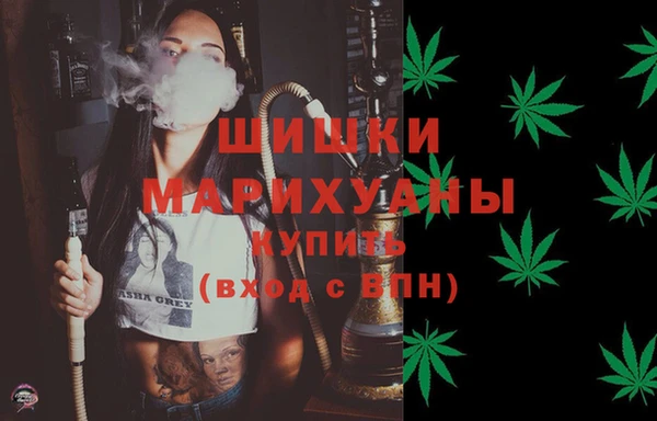 гидра Ессентукская