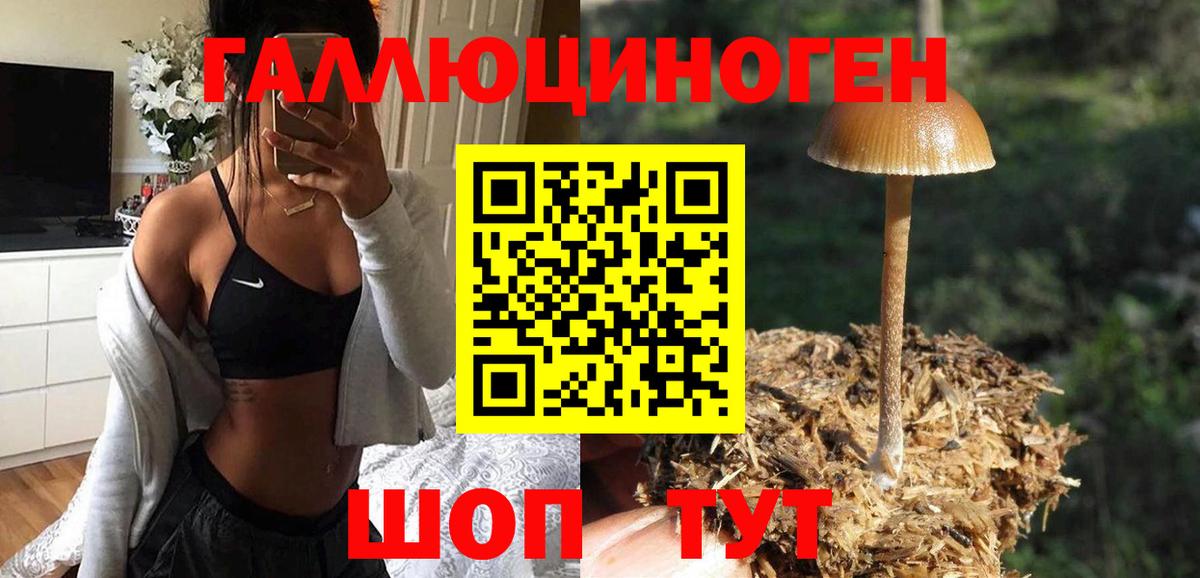 Арзамас  сколько стоит  Вход с VPN  Галлюциногенные грибы Magic Shrooms 